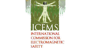 icems_logo